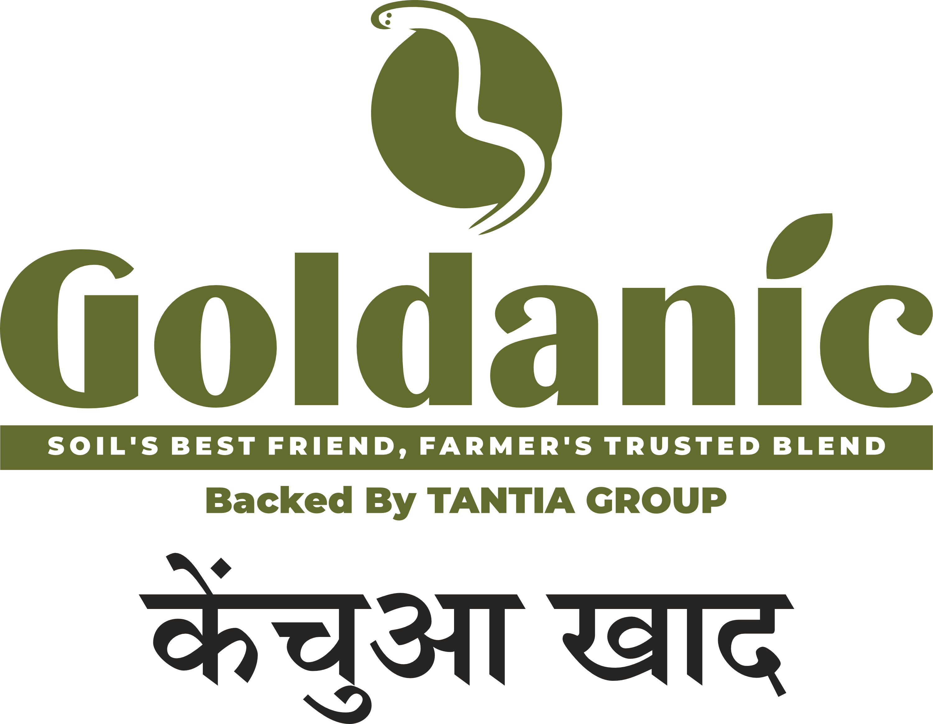 Goldanic brand logo